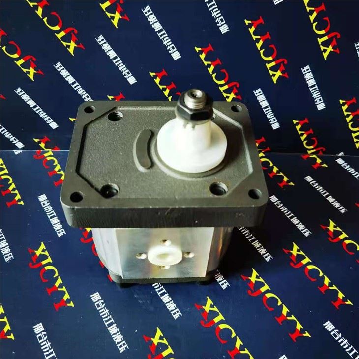 Massey Ferguson Pump 3539857M91